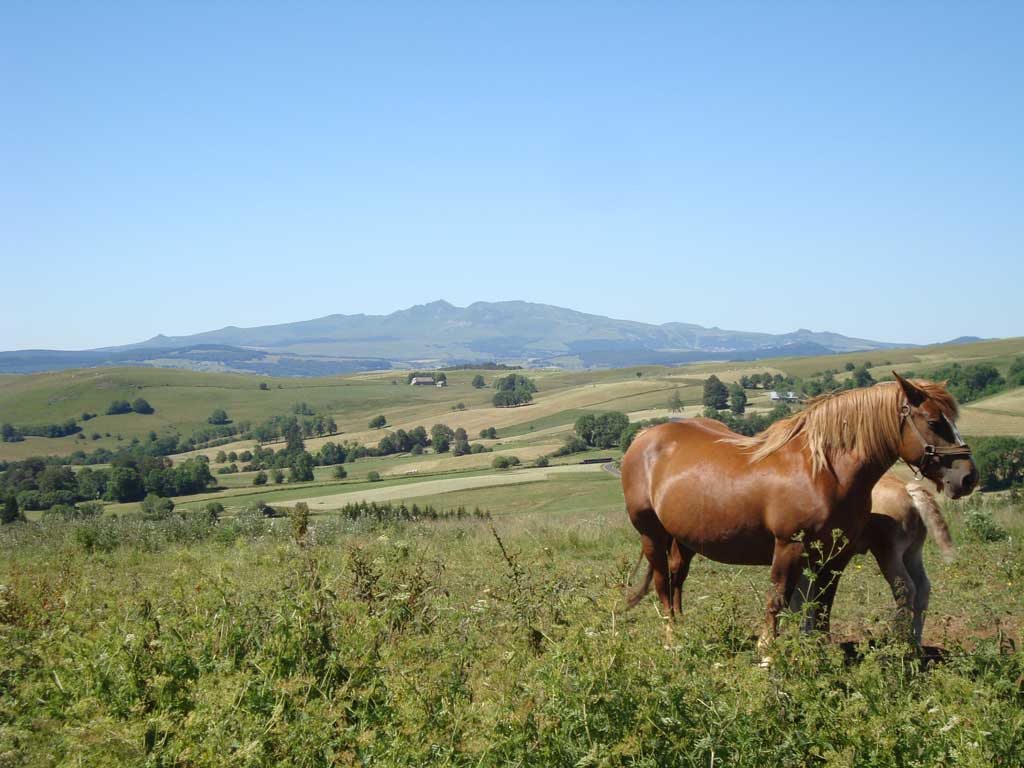 balade a cheval cantal